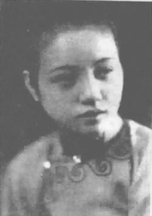 遗产仅剩20块无钱办丧,葬礼场面却比父亲的还盛大_袁世凯_母亲_女子