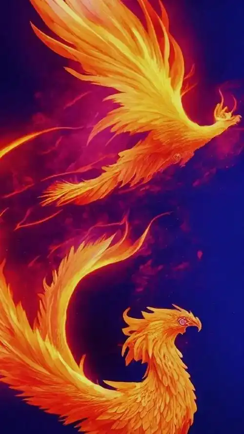 凤凰壁纸之凤舞九天