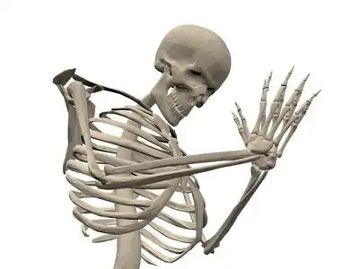 虔诚祈祷骷髅跪着祈祷.3d. 一个虔诚的人.矢量插图照片