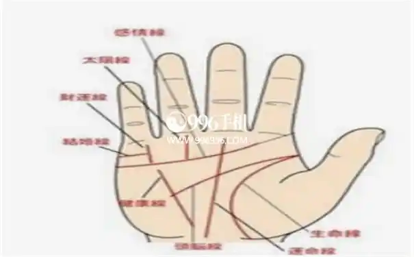 子女缘分看手相得知自己的子女缘分是否薄弱