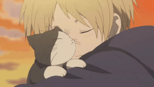 夏目友人帐贵志猫治愈系gif动图_动态图_表情包下载_soogif