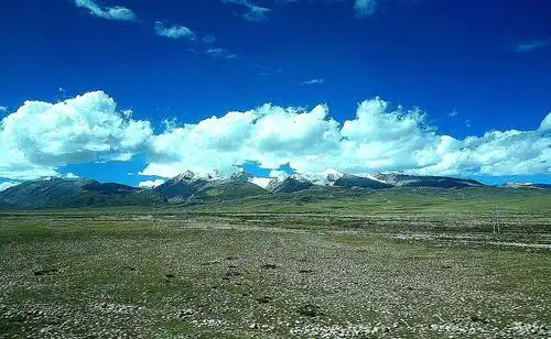 这是美丽的那曲高寒草原,远处的雪山白雪凯凯.