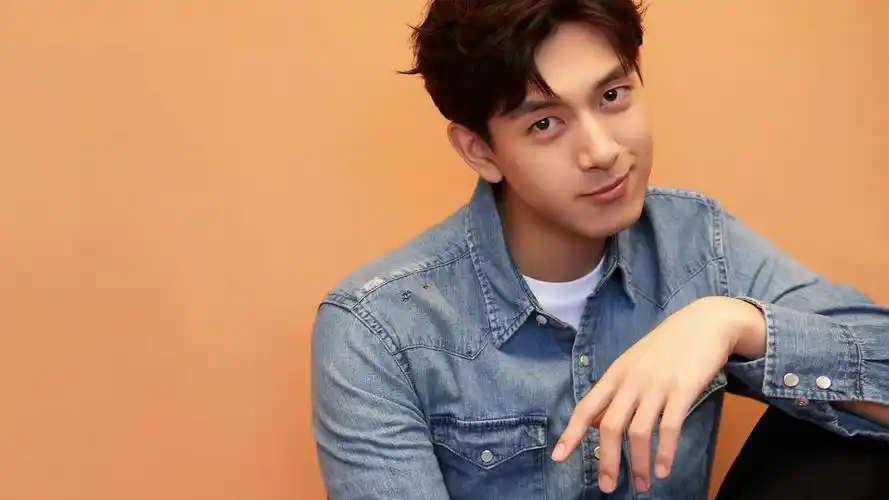 李现牛仔衬衫个性帅酷写真,大陆明星-回车桌面