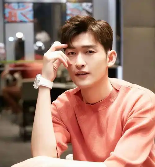 只要是价格合适什么都可以演,凭借《战狼》翻红后,张翰仅在2021年,就