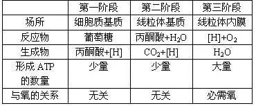 一,有氧呼吸过程三个阶段的比较