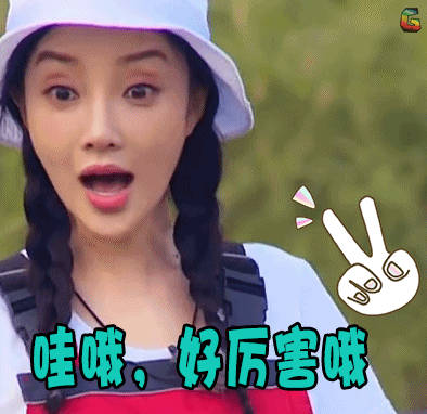 小手牵小狗gif李小璐gif哇哦好厉害哦gif赞gifsoogifgifsoogif出品gif