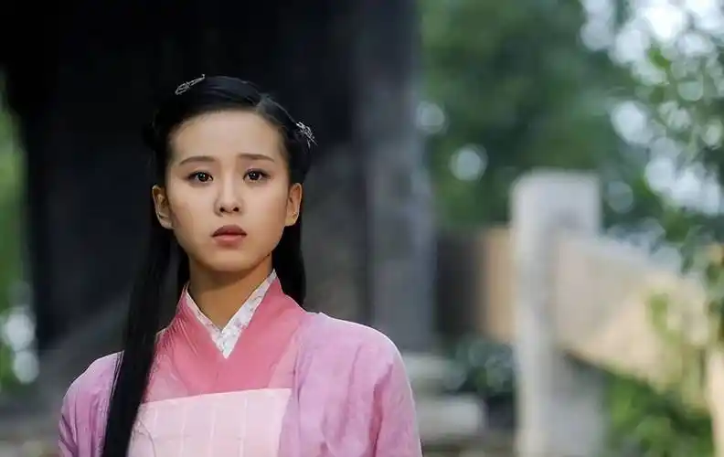 由胡歌,林依晨,袁弘和刘诗诗等主演