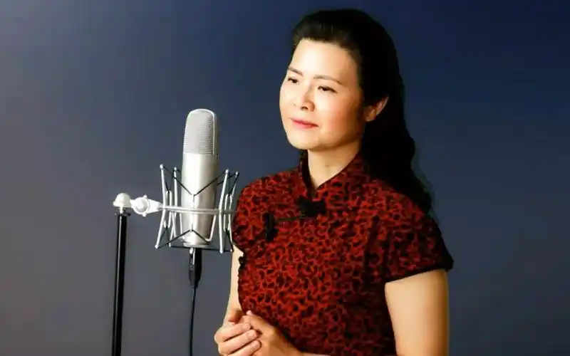 老情歌 - 陈敏中音