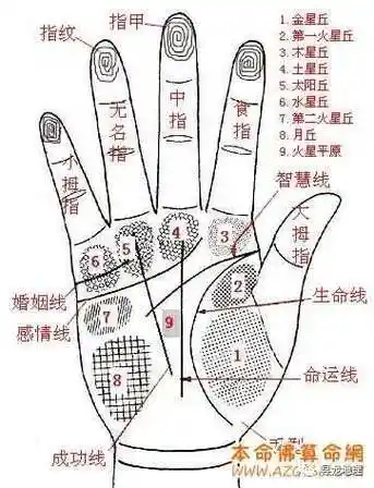 【手相】掌纹的秘密全图解