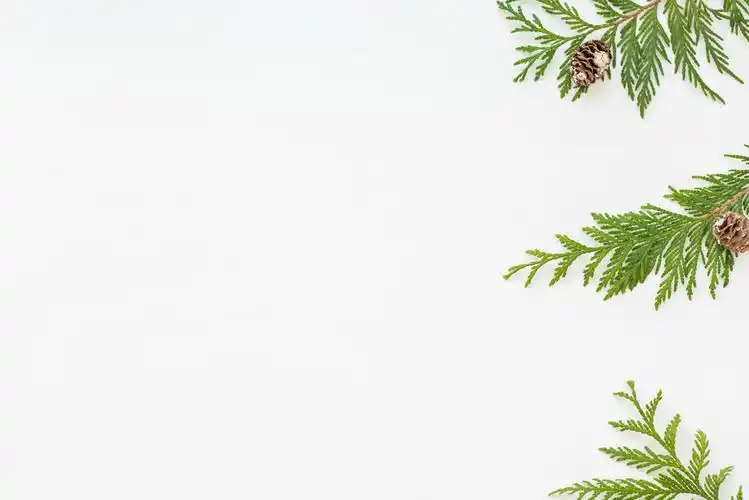 简约创意圣诞节装饰物品背景图片