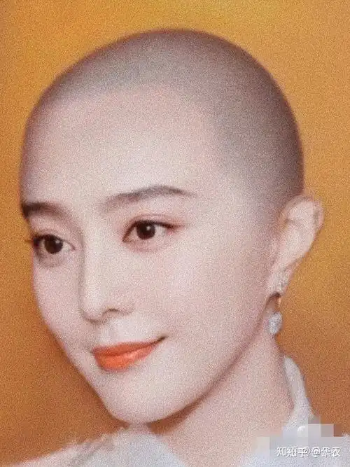 刘亦菲与范冰冰 - 知乎