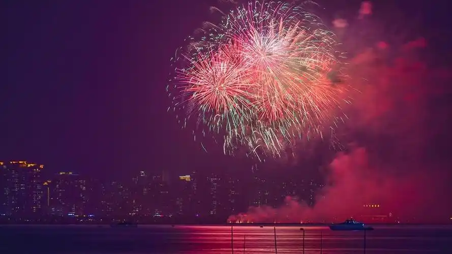 2020年跨年只想和你分享这灿烂的烟花,高清壁纸,风景图片-回车桌面