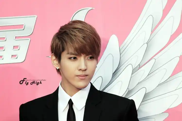 给我5张kris刚出道的帅图