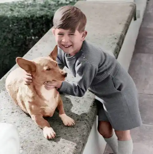 凯特小儿子庆生照手拿球在沙滩上奔跑4岁路易越长越像查尔斯