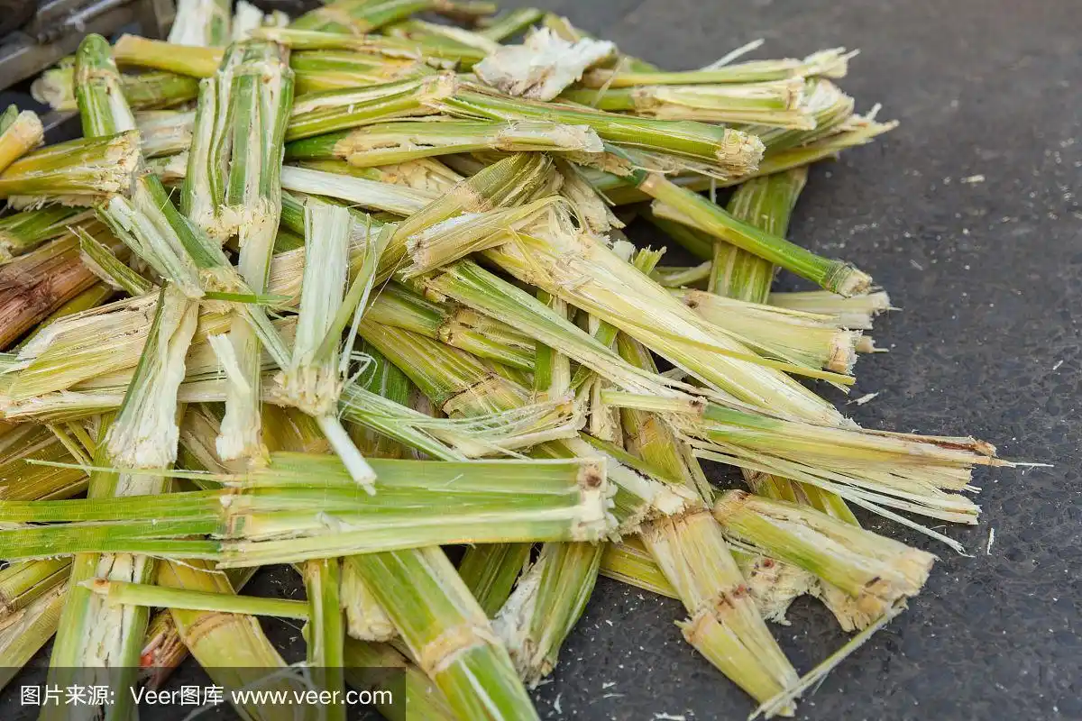 甘蔗渣,天然纤维可回收用于生物燃料纸浆和建筑材料.