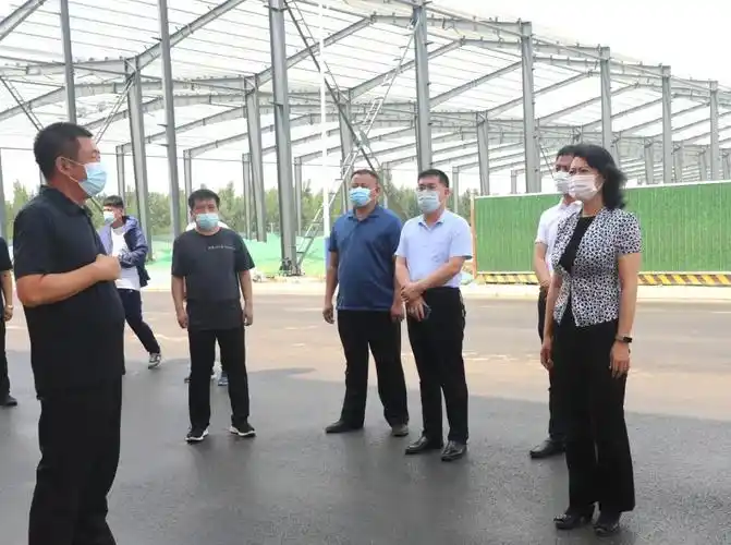 任泽区7月8日,襄都区委书记李秀娟到东关街,辛庄北路,顺德新街新时代