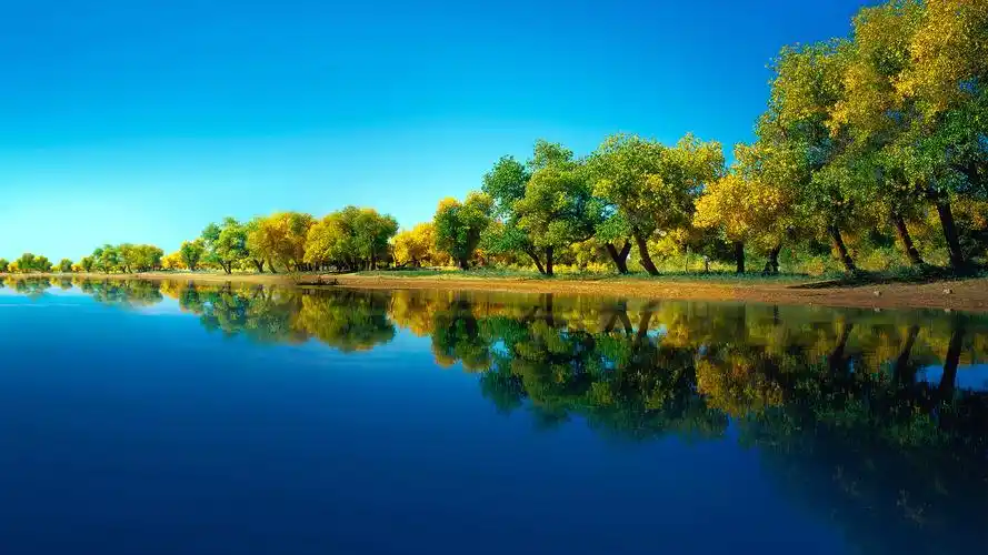 招财聚财山水风景图片-风景壁纸 - 壁纸之家