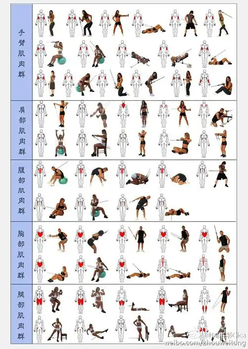 一些平时很爱用的好用的东西分享给正在健身或去健身路上的你们