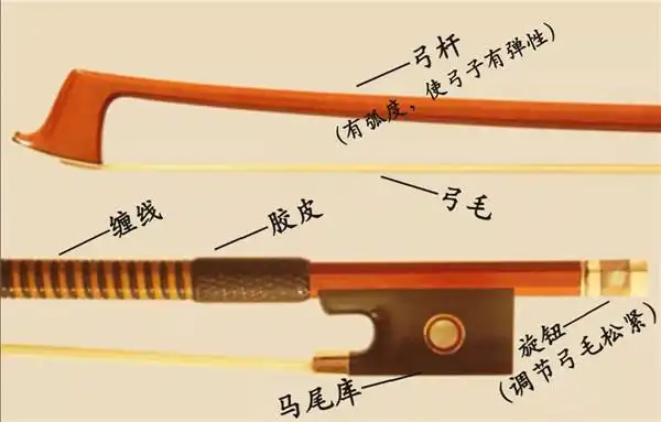 小提琴结构图 -小提琴是一种弦乐器.总共有四根弦.