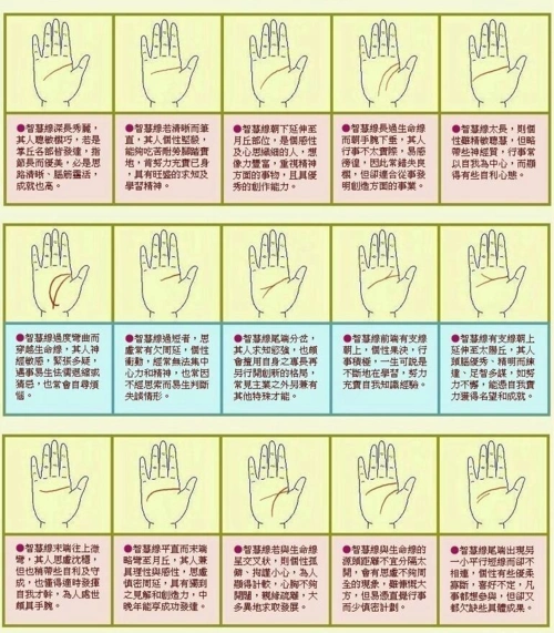 手相学天尊山道人看相算命