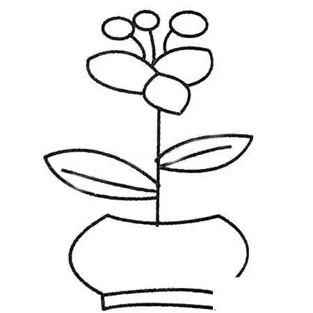漂亮的花朵盆景简笔画大全