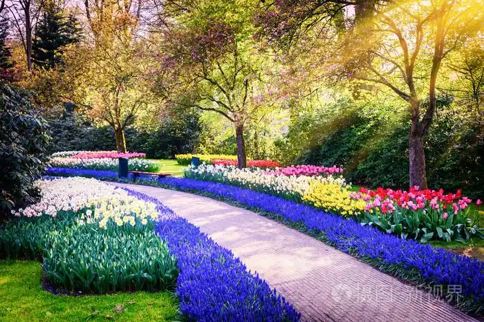 春天风景与五颜六色的鲜