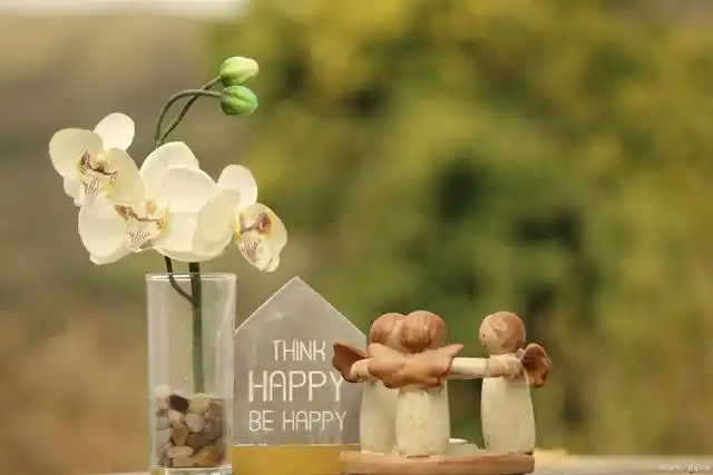 心平能愈三千疾,那些抚慰人心的治愈短句