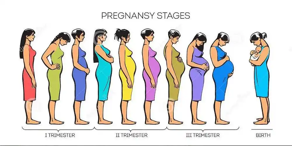 手臂粗了,肩膀圆了,腹部松松垮垮……很多产后妈妈在生完孩子之后都会