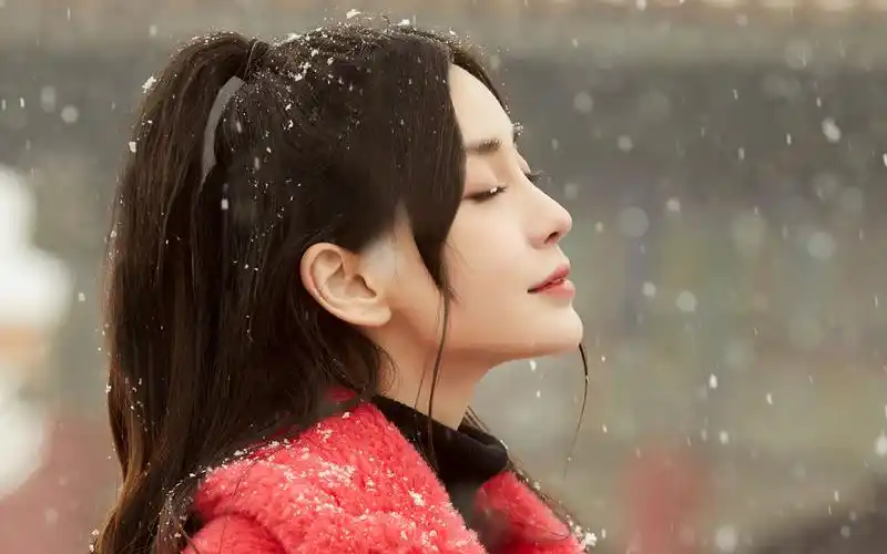 angelababy雪中仙气高清桌面壁纸