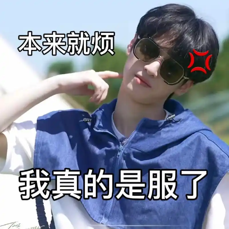 严浩翔表情包(18)