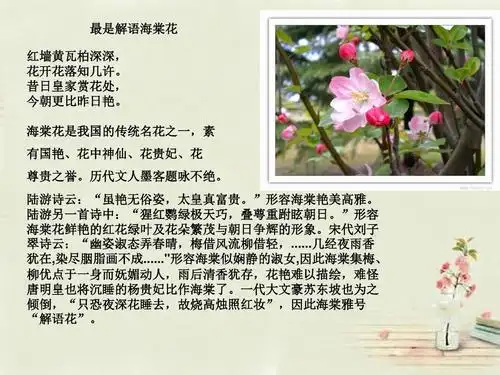 2015-2016学年九年级语文上册 3《西花厅的海棠花又