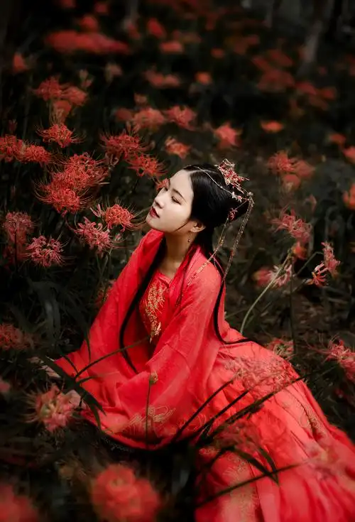 曼珠沙华.花开开彼岸