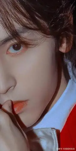 张哲瀚的眼睛如陈凯歌所说,妩媚多情,这种多情一方面来自于眼睛自身的