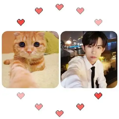 易烊千玺模仿猫咪表情证据有,猫咪和崽崽傻傻分不清