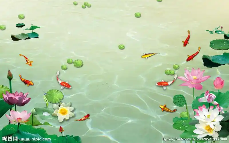 荷花九鱼图(分层)设计图__psd分层素材_psd分层素材
