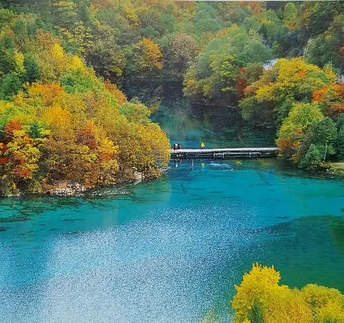 精美绝世的九寨沟和黄龙风景区,是大自然赐予人类珍贵的美景,是世间