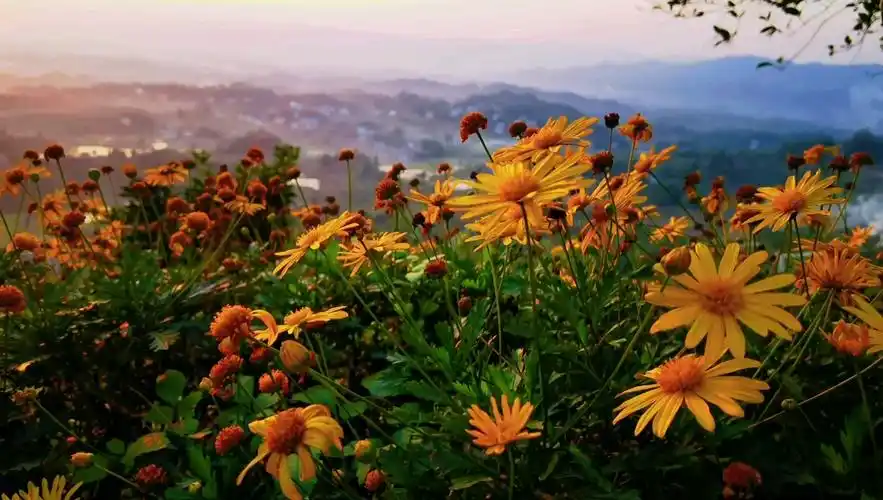 日落-延时摄影-华为mate40pro前半段-p40pro后半段-徕卡鲜艳