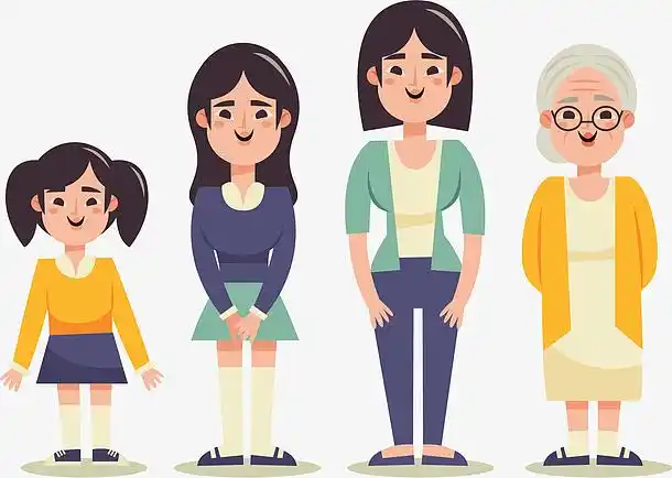 生命周期女人一生