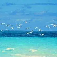 大海美景微信头像图片【点击鼠标右键下载】