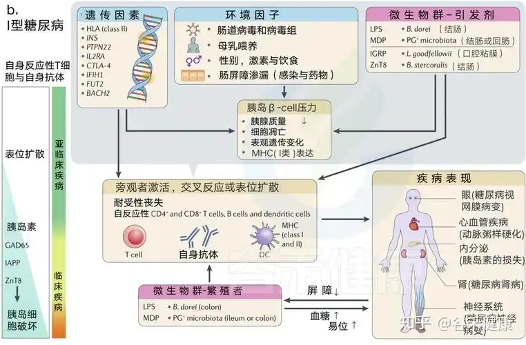 防止对微生物产生旺盛免疫反应的最明显的方法是保持上皮屏障.