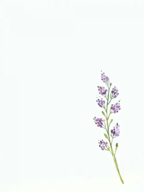 言辞:简约森系壁纸/小清新_唯美图片_我要个性网