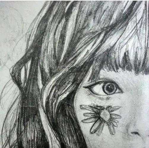 za-雪莉你是光,雪莉你是我们的心脏-崔雪莉铅笔画