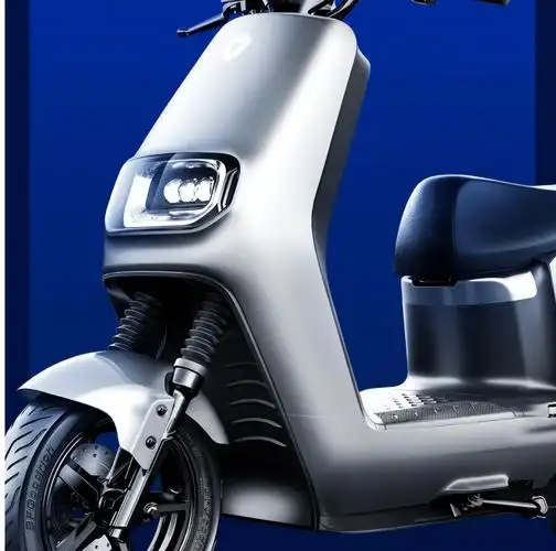 自动充电电动车图片(2款长续航电摩) - 赤虎壹号