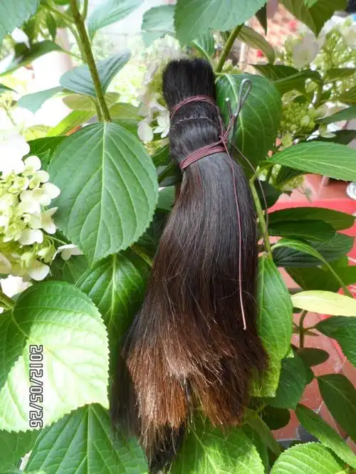 晒晒我的长发藏品18