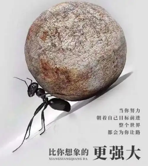 关于努力学习的说说配图「短句」 _qq说说网