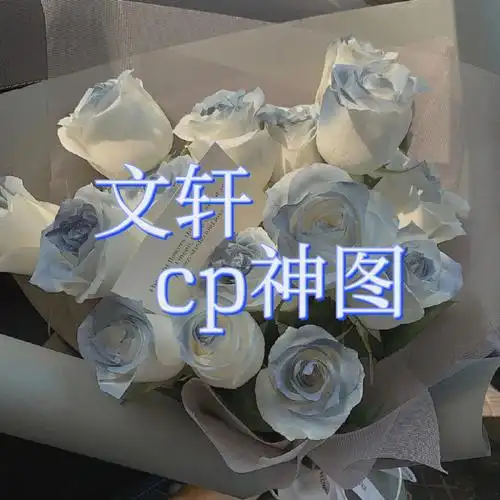 文轩cp神图