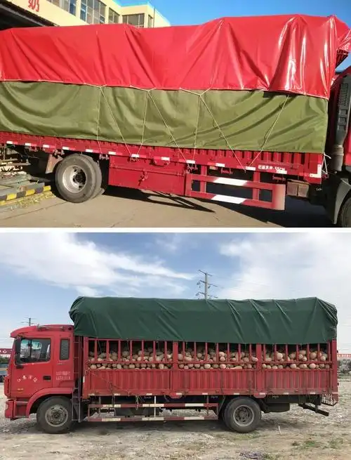 黑龙江金潮蓬布加工厂@价格2020:推荐邳州金潮蓬布