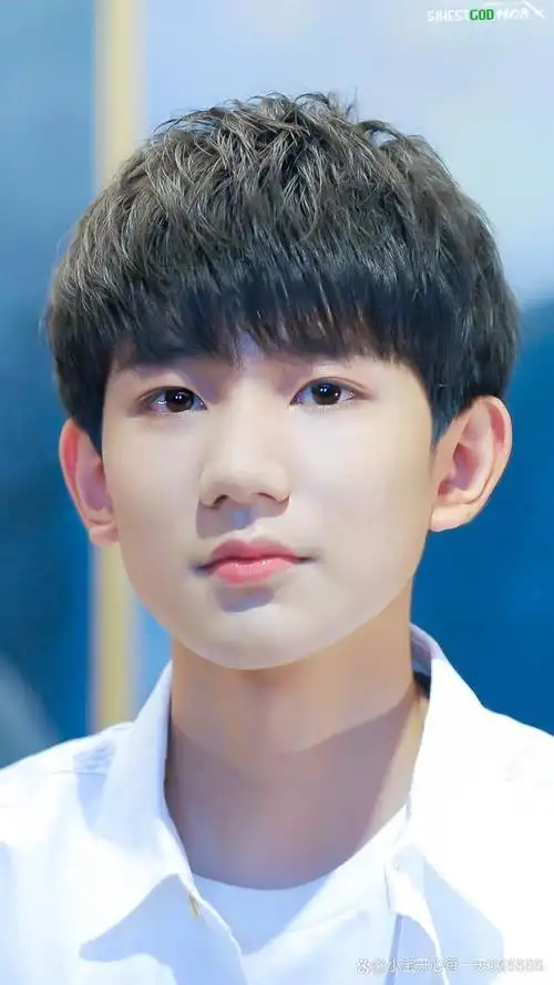 2011年底,成为tf家族练习生,2013年8月,以tfboys组合成员身份出道