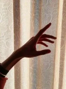 妖扬从来不说假话