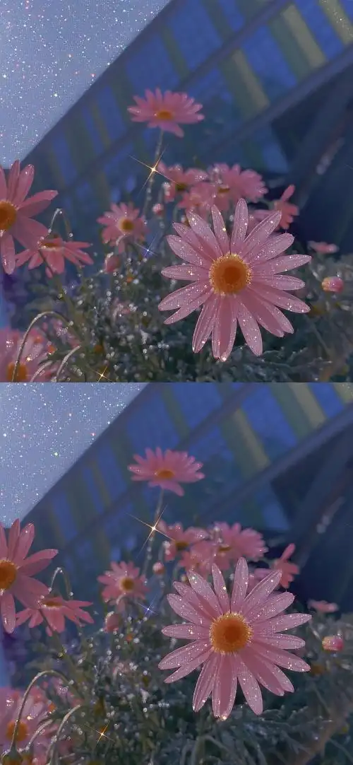 苹果11聊天背景/锁屏/壁纸